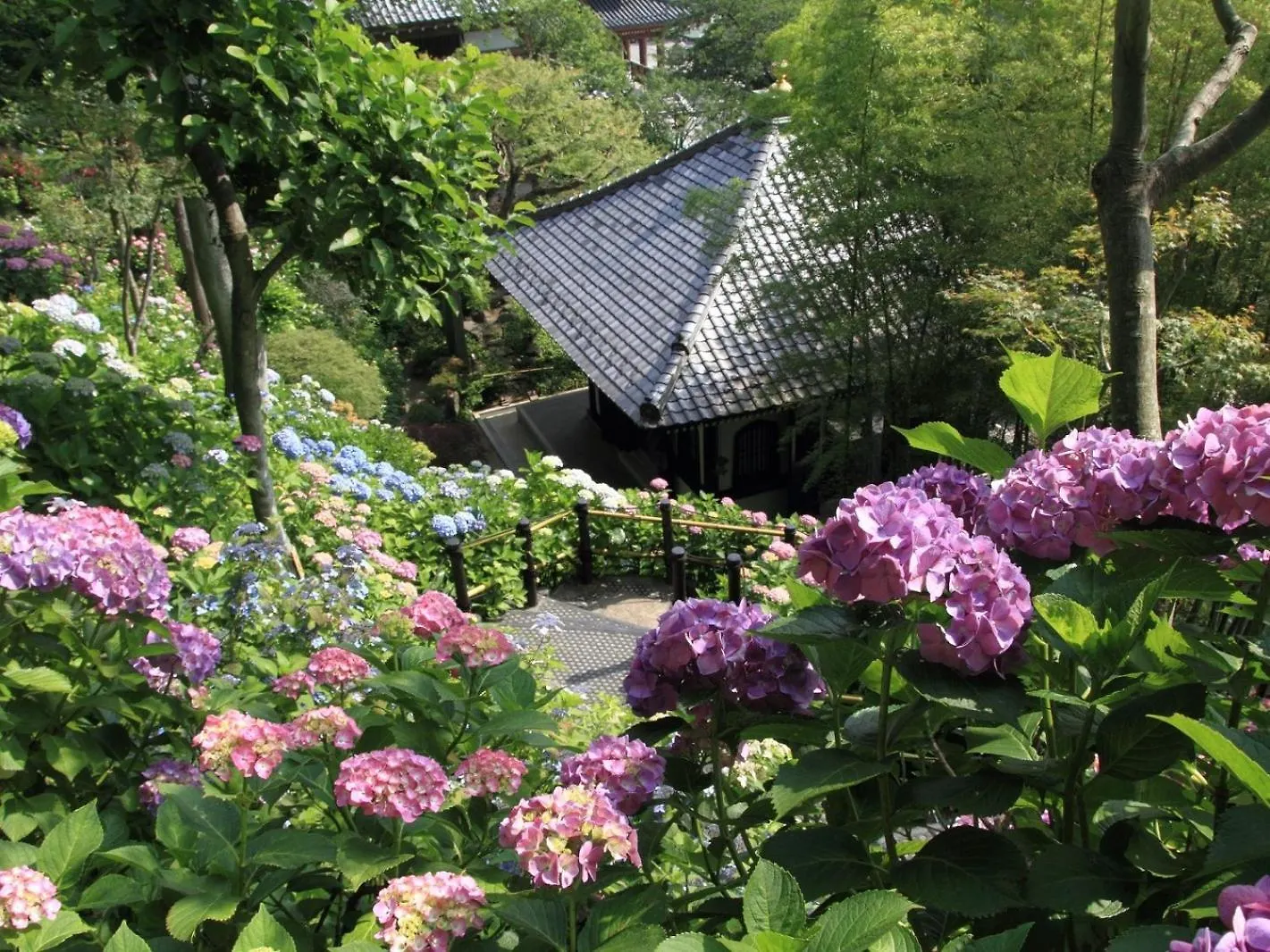 Semesteranläggning (resort) Webase Kamakura Hotell