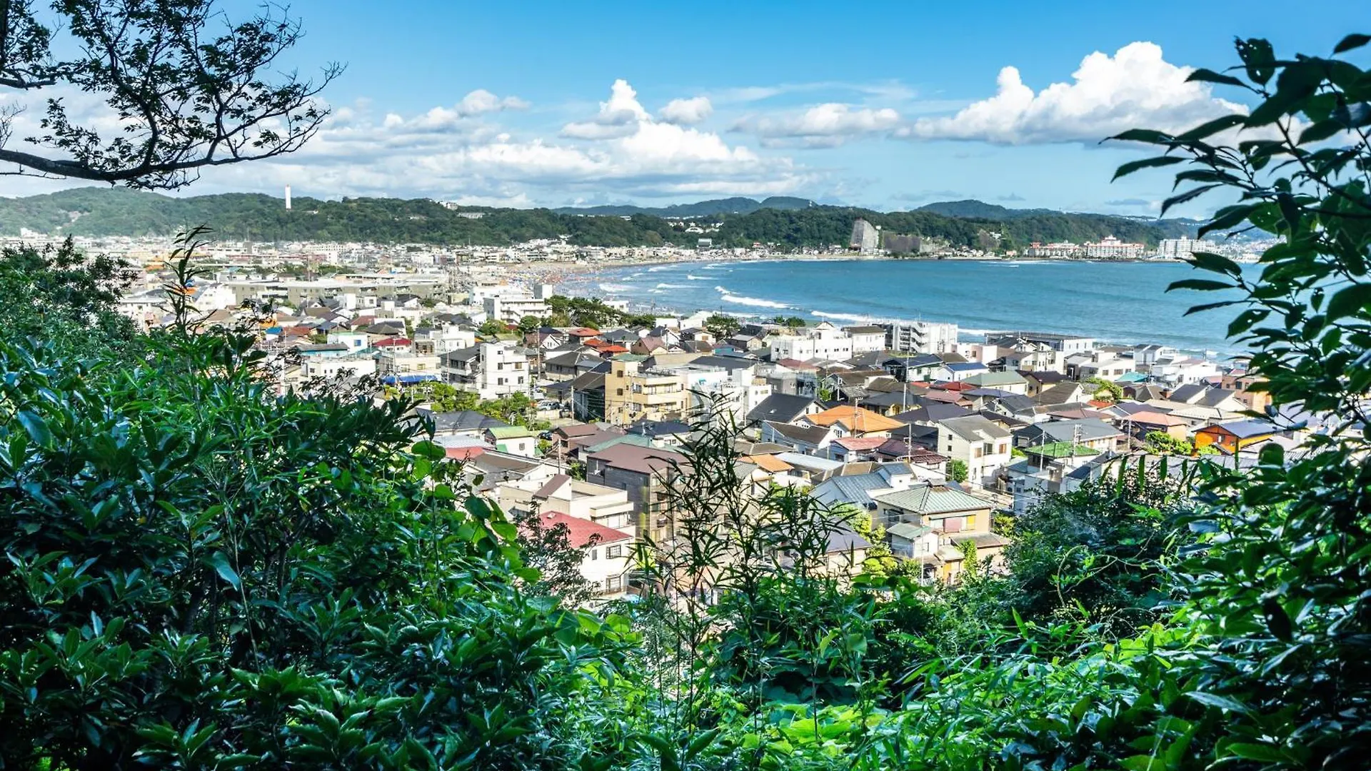 镰仓市 镰仓WeBase旅舍酒店 度假村